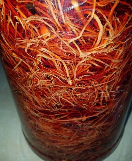 Chữa mốc cho gà bằng cây Bạch Hạc | Rễ cây Bạch Hạc ngâm rượu