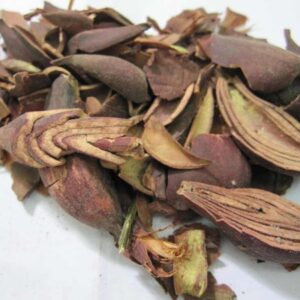 Cây sâm đại hành | Hành lào | Tỏi đỏ | Tỏi lào