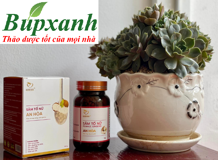 địa chỉ bán sâm tố nữ an hoà