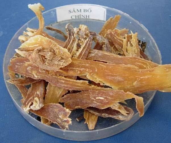 nhân sâm phú yên chế biến