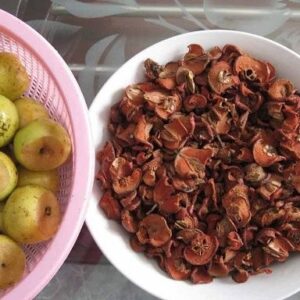 Táo mèo - Sơn Tra