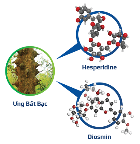 than-cay-ung-bat-bac
