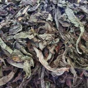 Lá khôi | Cây khôi nhung | Lá khôi tía | Cây săng xê | địa chỉ bán lá khôi