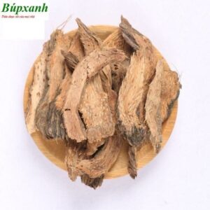 Cây thiên niên kiện | Sơn thục | Cây bao kim | Ráy hương