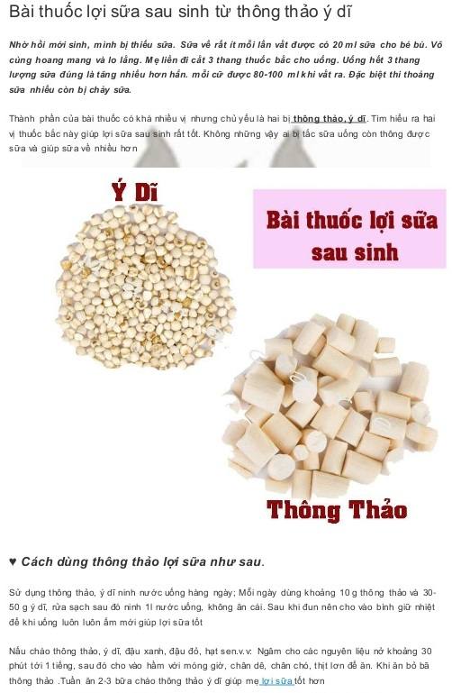 Cây thông thảo | địa chỉ bán thông thảo lợi sữa