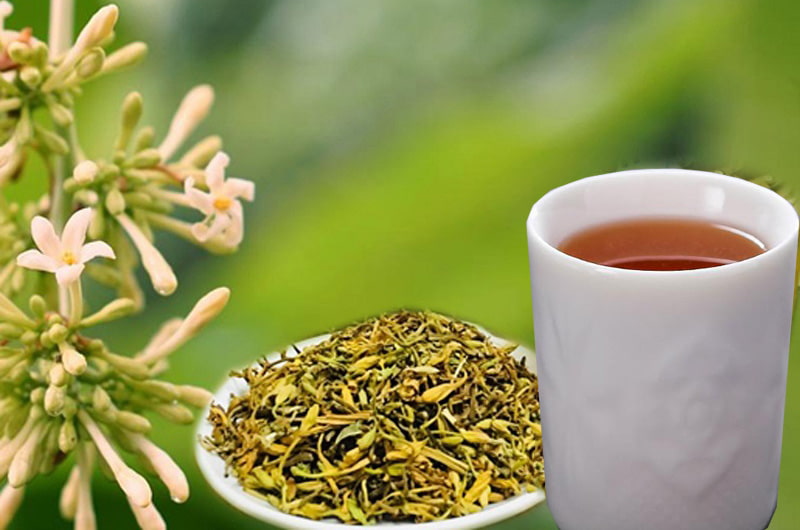 tra-hoa-du-du-duc Hoa Đu Đủ Đực | Địa chỉ bán hoa đu đủ đực, tác dụng hoa đu đủ đực, mua hoa đu đủ đực ở đâu