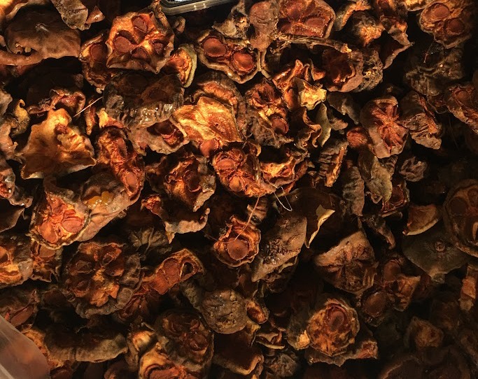 Quả bứa khô | Trái bứa | địa chỉ bán quả bứa khô giảm cân