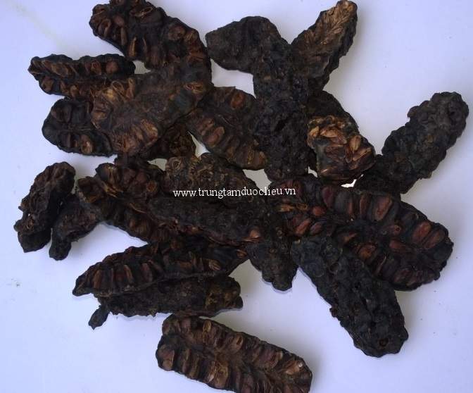 trai_nhau_1 Trái nhàu, tác dụng trái nhàu, địa chỉ bán trái nhàu