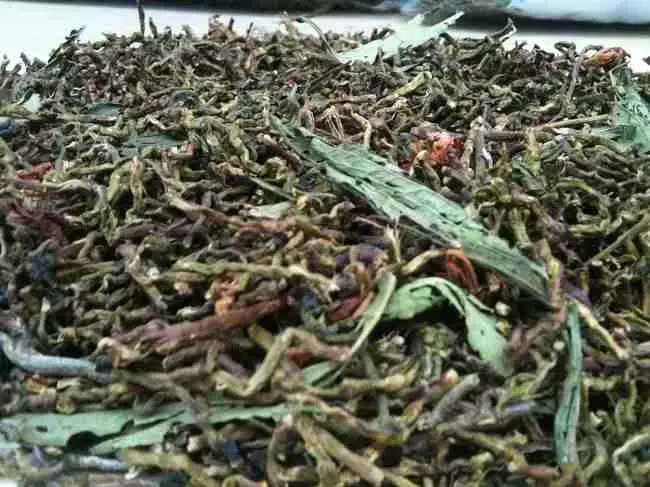 trasonmat trà sơn mật