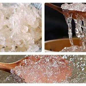 Tuyết yến | Yến thực vật