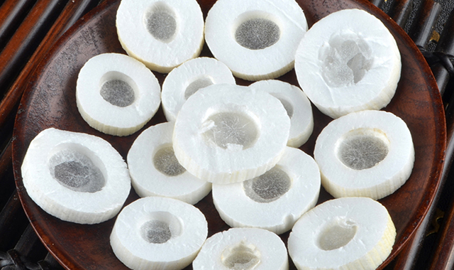 Cây thông thảo | địa chỉ bán thông thảo lợi sữa