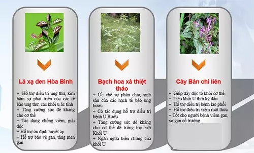 xa_den_bach_hoa_xa_ban_chi_lien