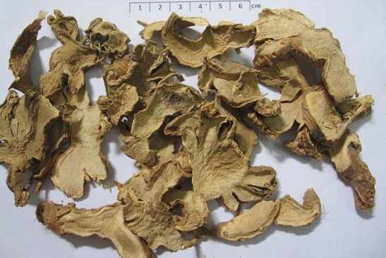 Xạ can, công dụng cây xạ can, địa chỉ bán xạ can